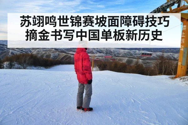 苏翊鸣世锦赛坡面障碍技巧摘金书写中国单板新历史