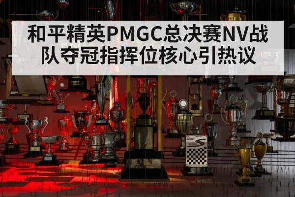 和平精英PMGC总决赛NV战队夺冠指挥位核心引热议